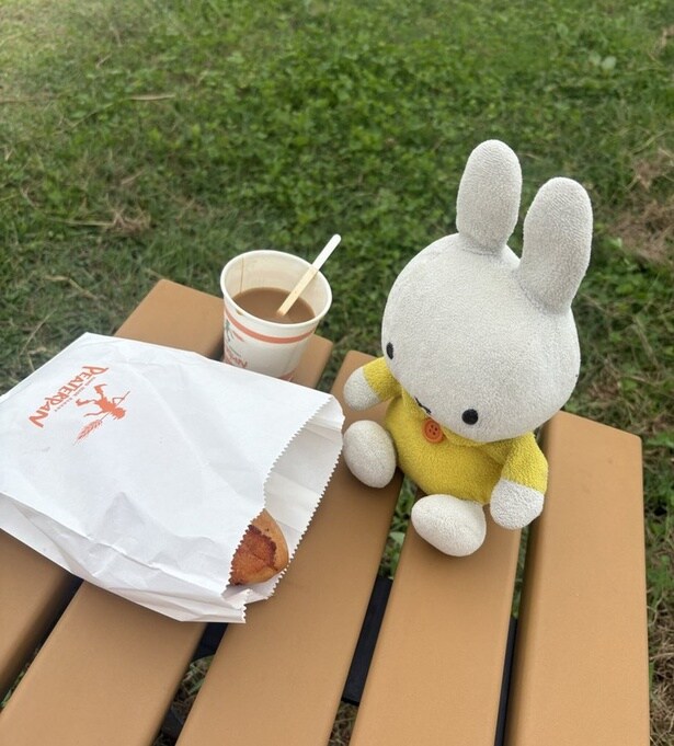 公園でうさぎに人生相談する休日▶ぬいぐるみは欠かせない存在です（⇒次へ）
