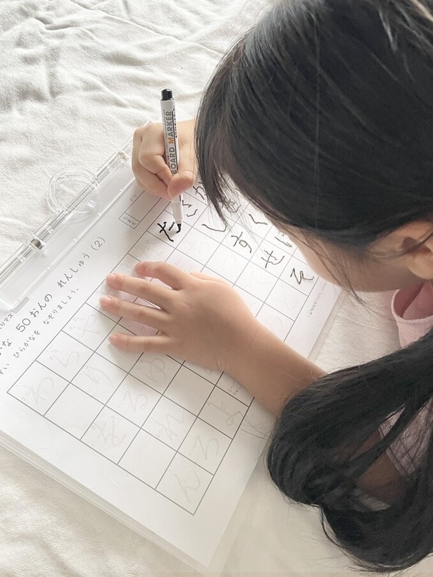 【クリアホルダーの活用術】我が家の娘が楽しんで使う意外な方法とは?