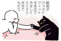 触りすぎ注意？黒猫ろんがやさしくストップする飼い主のクセ