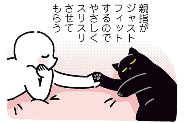 触りすぎ注意?黒猫ろんがやさしくストップする飼い主のクセ