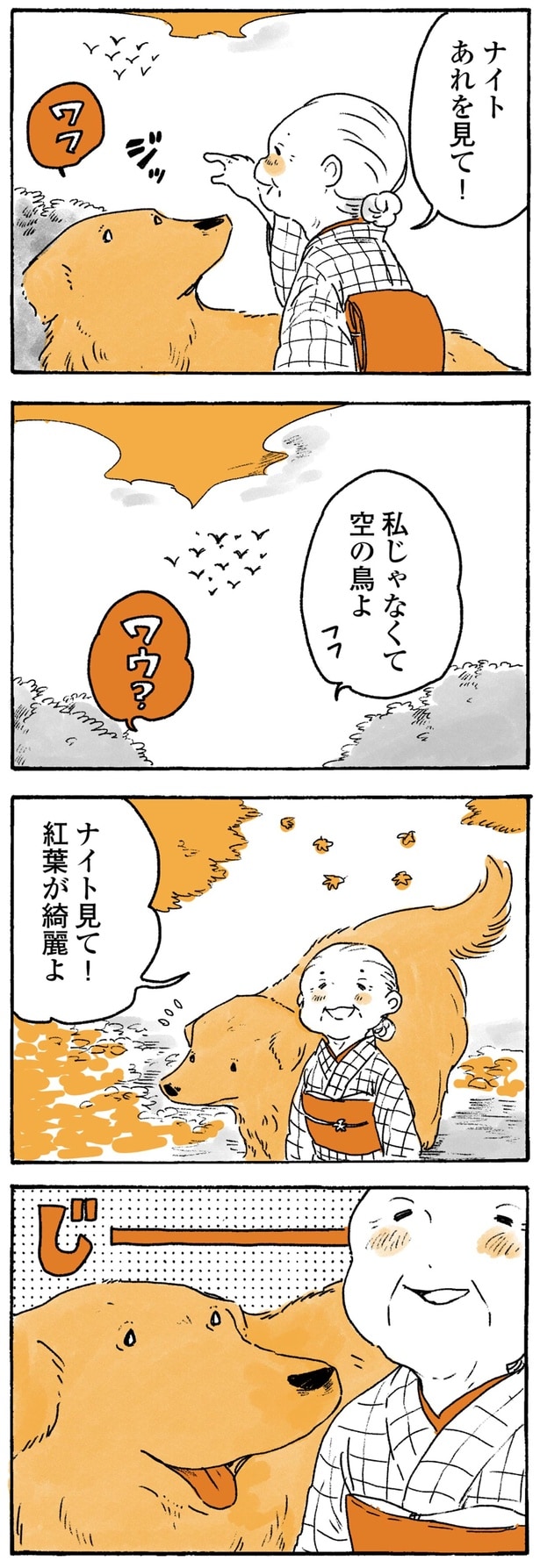 私じゃなくて