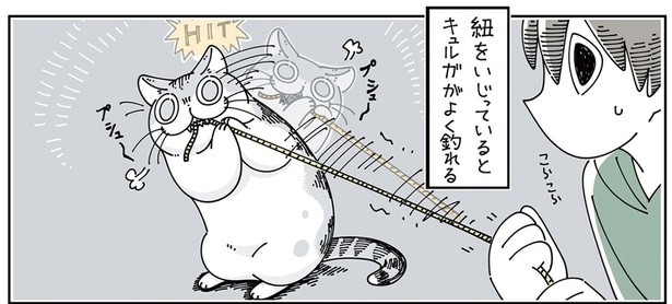 なんの違いがあるんだろう? 紐に一生懸命になる猫に紐状のおもちゃを買ってきたら