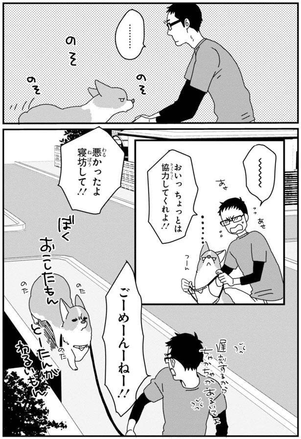 ごーめーんーねー!!