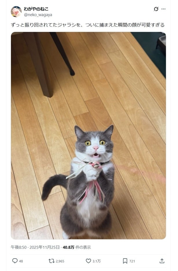 ”ついに捕まえた瞬間”の顔▶本人もビックリ顔！？（⇒次へ）