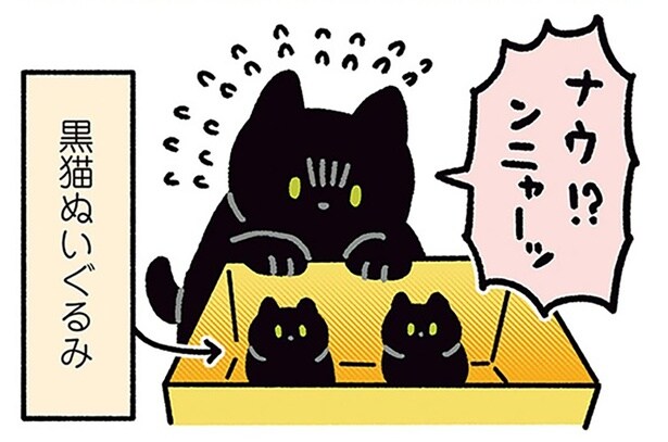 子ねこ！？大丈夫かー！？