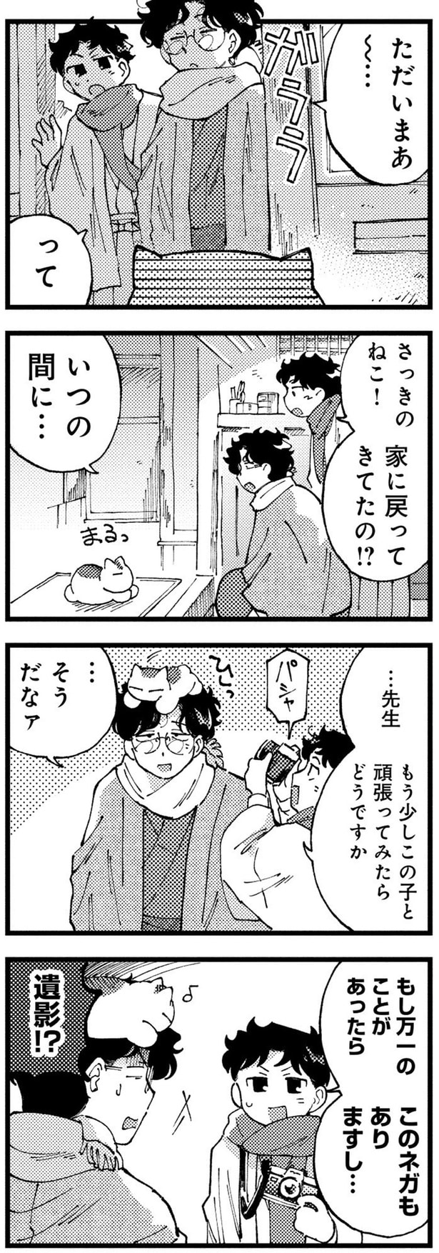 さっきのねこ！