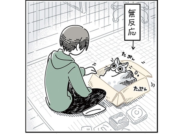 構ってみるも…