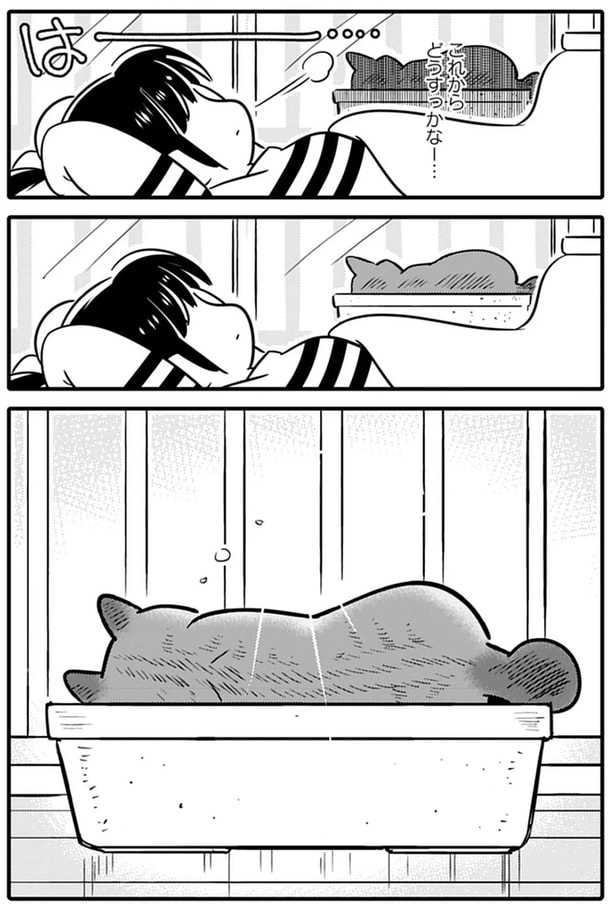 これからどうすっかなー