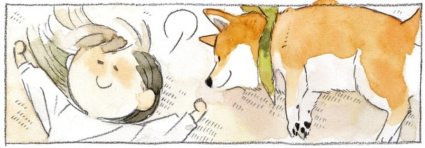 ぽつんと眠る柴犬に添い寝しようとしたら…。反応が想定外すぎた！