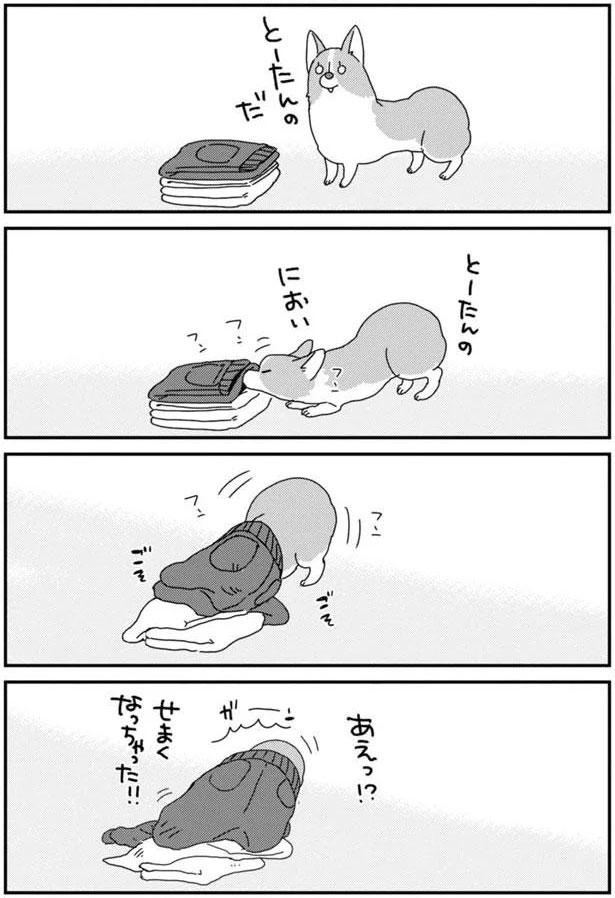とーたんのだ