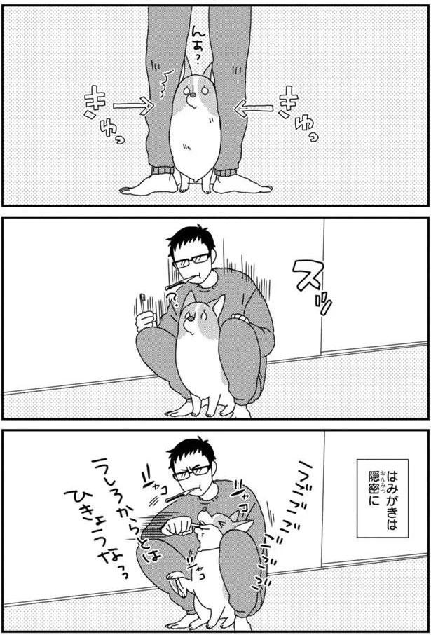 はみがきは隠密に