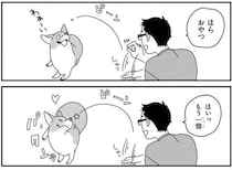 おやつはどこ？上手にキャッチできたと思っているワンコにクスッ