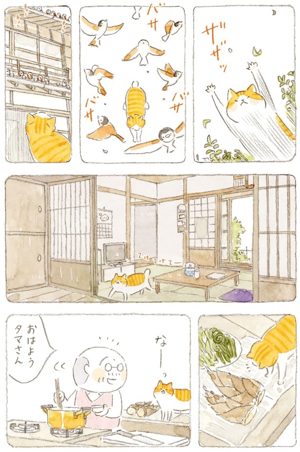 おはようタマさん