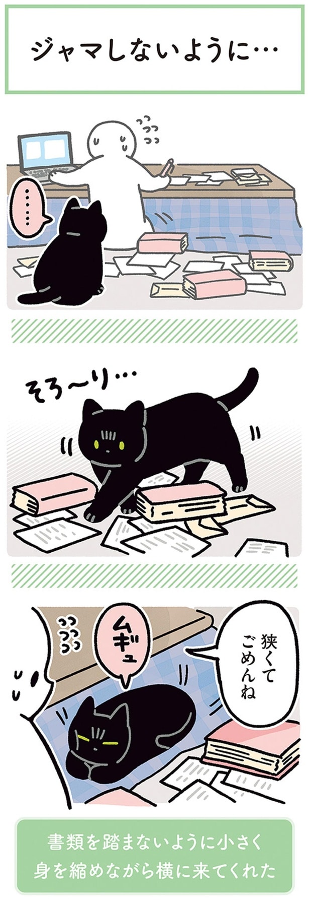 狭くてごめんね