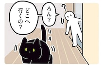 飼い主のピンチ到来。黒猫ろんがまさかの神対応で書類発見