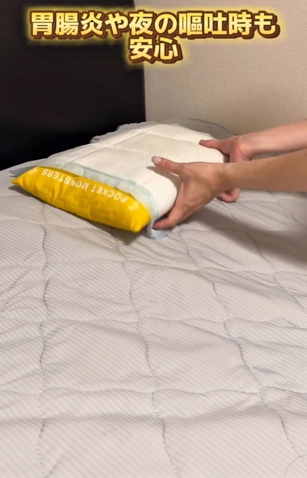 枕が汚れない！洗濯も買い替えもしなくて良し！▶キレイをキープしたい場所も…（⇒次へ）