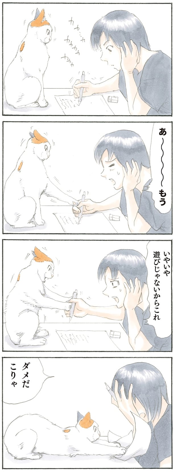 遊びじゃないからこれ