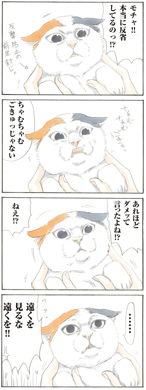 本当に反省してるのっ!?