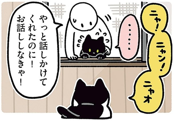 友だちになりたい。ノラネコさんとの初対面に緊張する黒猫ろん