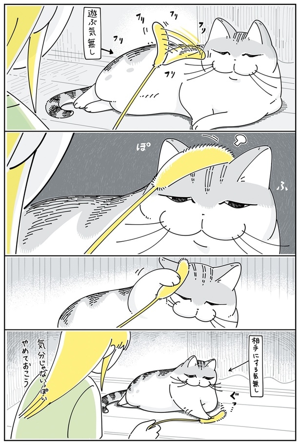 相手にする気なし