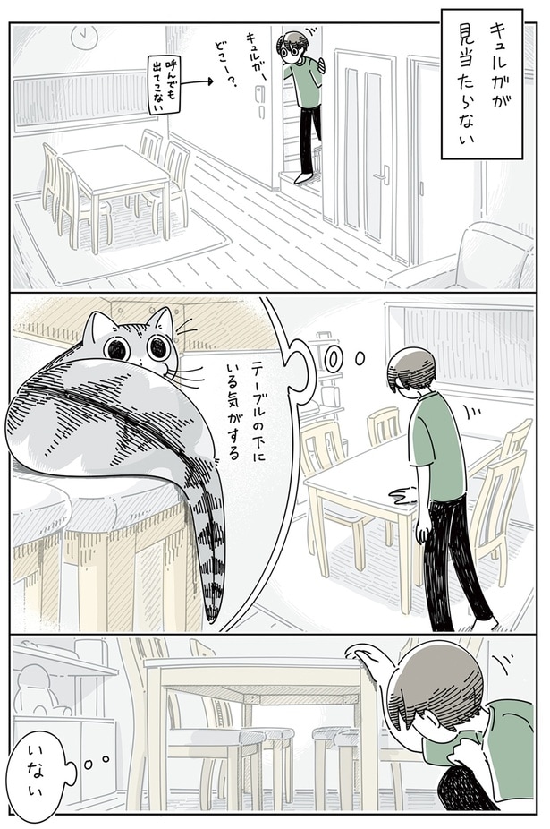 ネコがどこにも見当たらない