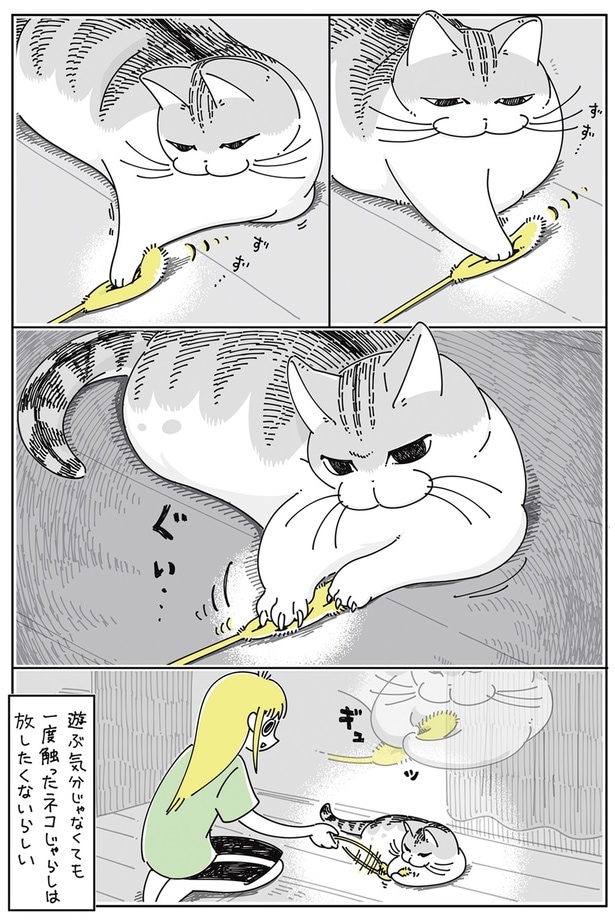 一度触ったネコじゃらしは放したくないらしい