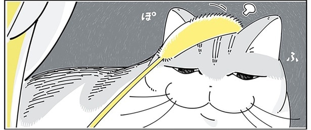 気分じゃないけど離さない？ 猫じゃらしをふりふりしてみたら