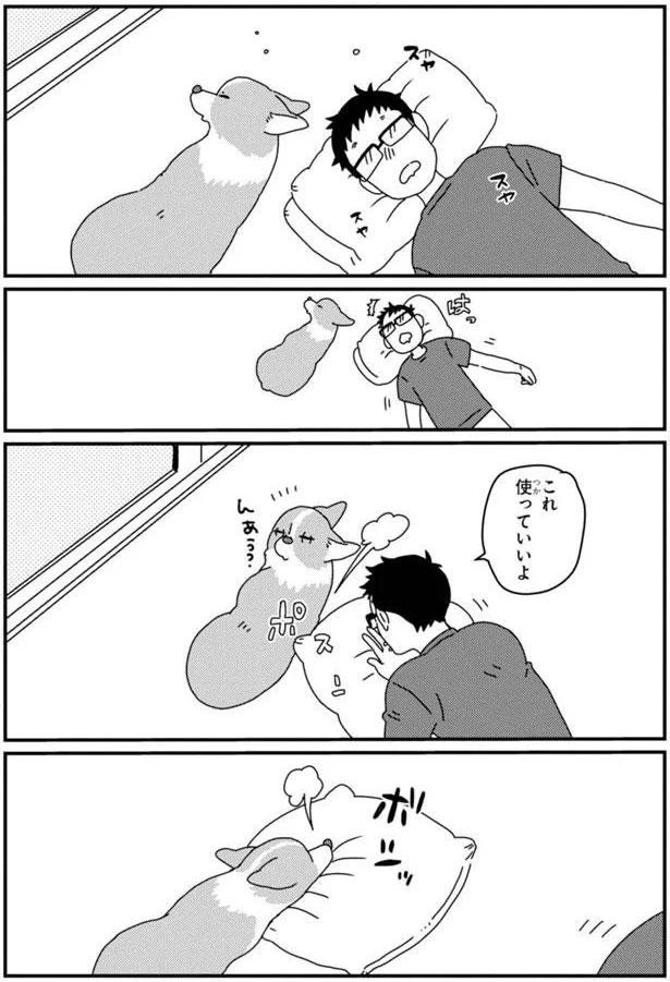 これ使っていいよ