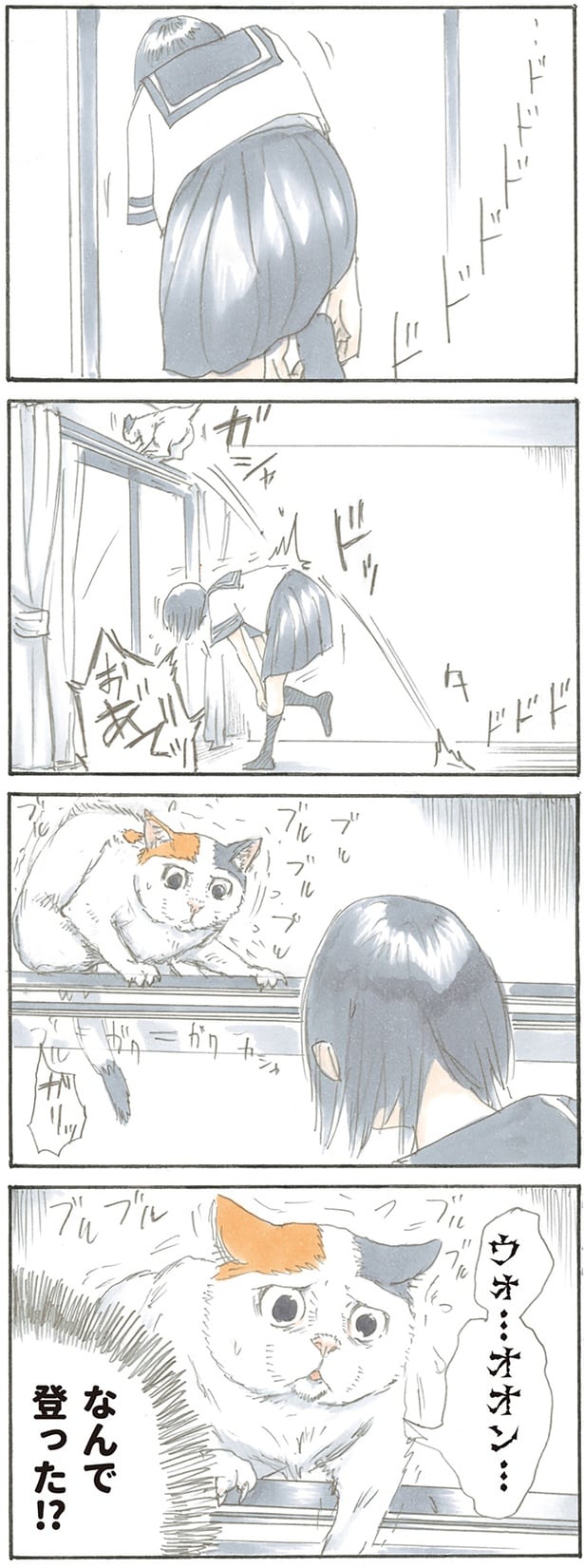 なんで登った!?