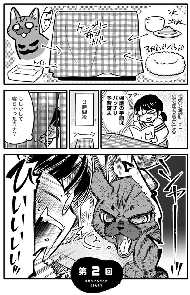 ケージに布でカバー