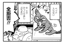 保護猫の「シャー」が止まらない！ ベッドも水もエサも全拒否／ブリちゃん日記（4）