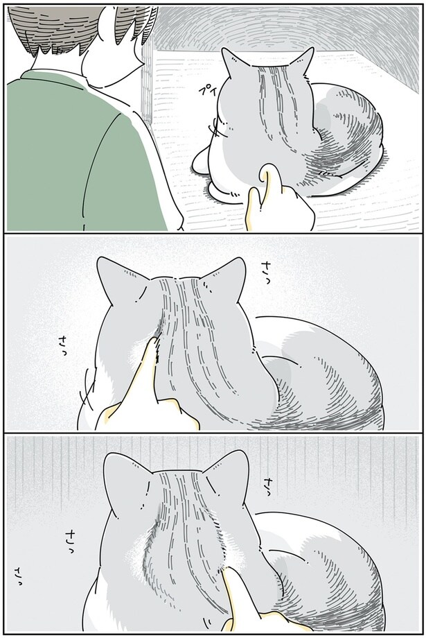 さっさっさっさっ