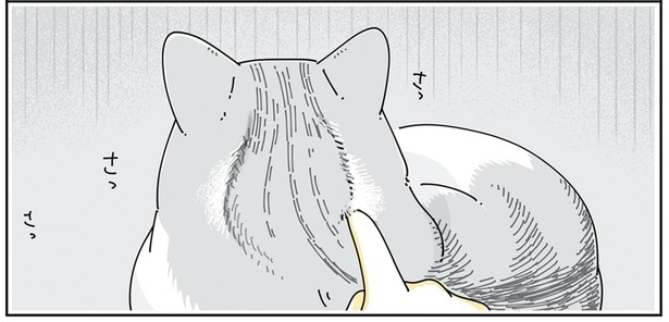 動くとすぐに消えちゃうけれど。猫の後頭部にいたずら書きをする飼い主