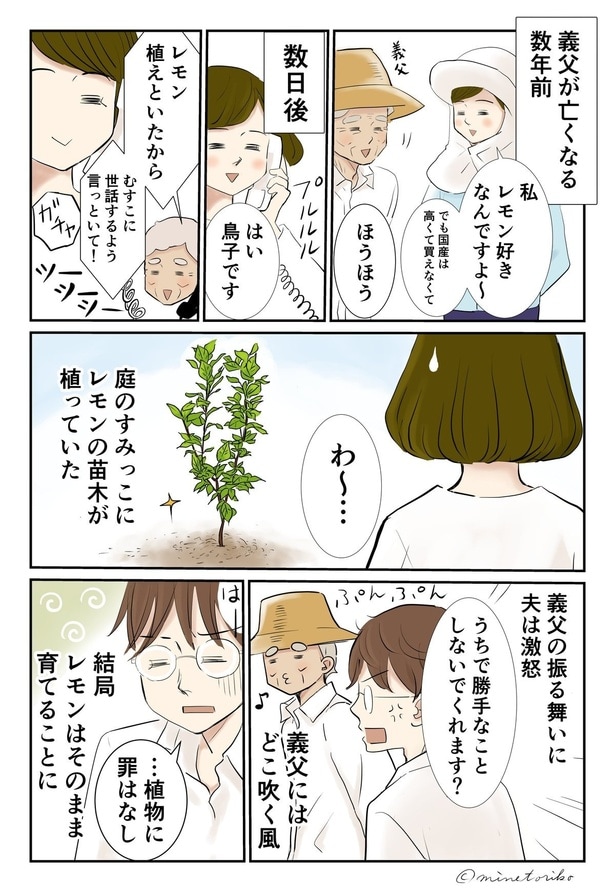 庭のすみっこに植えられたレモンの苗木