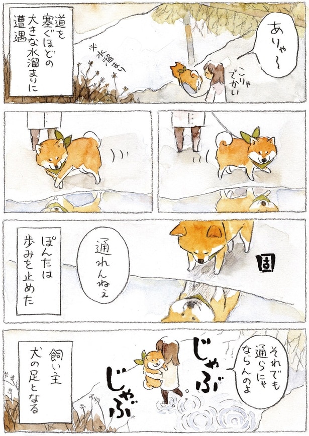飼い主犬の足となる