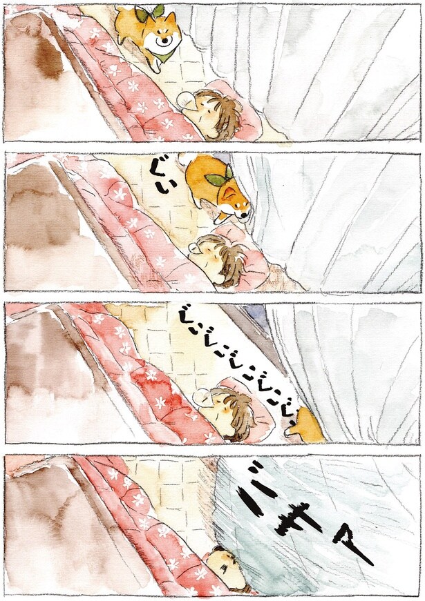 飼い主を起こさないように横切るけど…