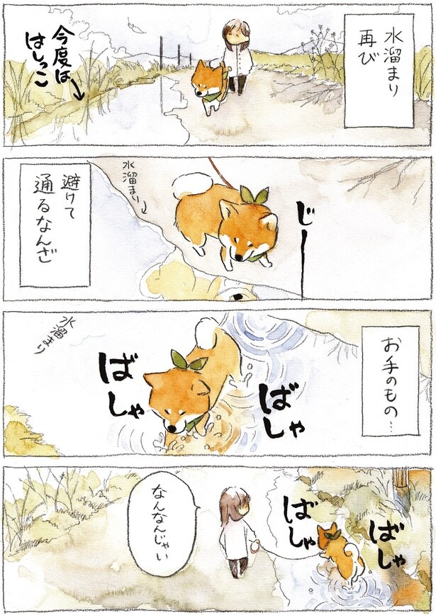 なんなんじゃい