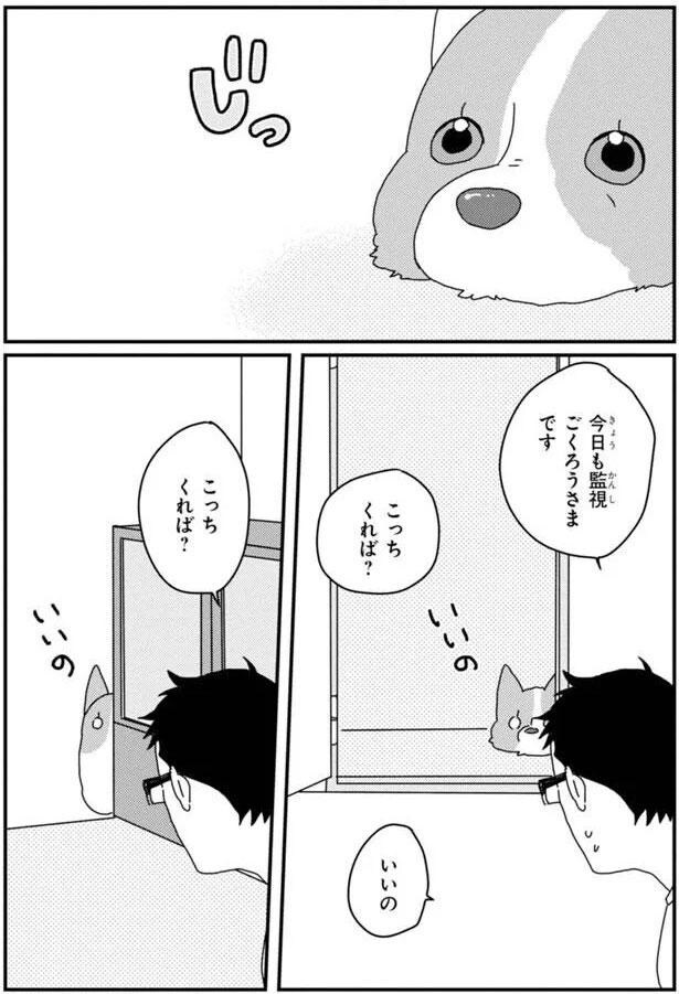 今日も監視ごくろうさまです