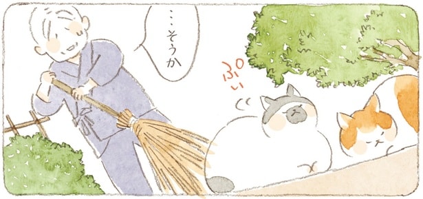 住職さんも思わずあきらめ顔。境内でのんびり過ごす島猫たちの毎日