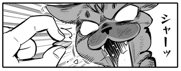 カリカリもパウチも拒否。まる一日ご飯を食べない保護猫に刺身をあげてみると…