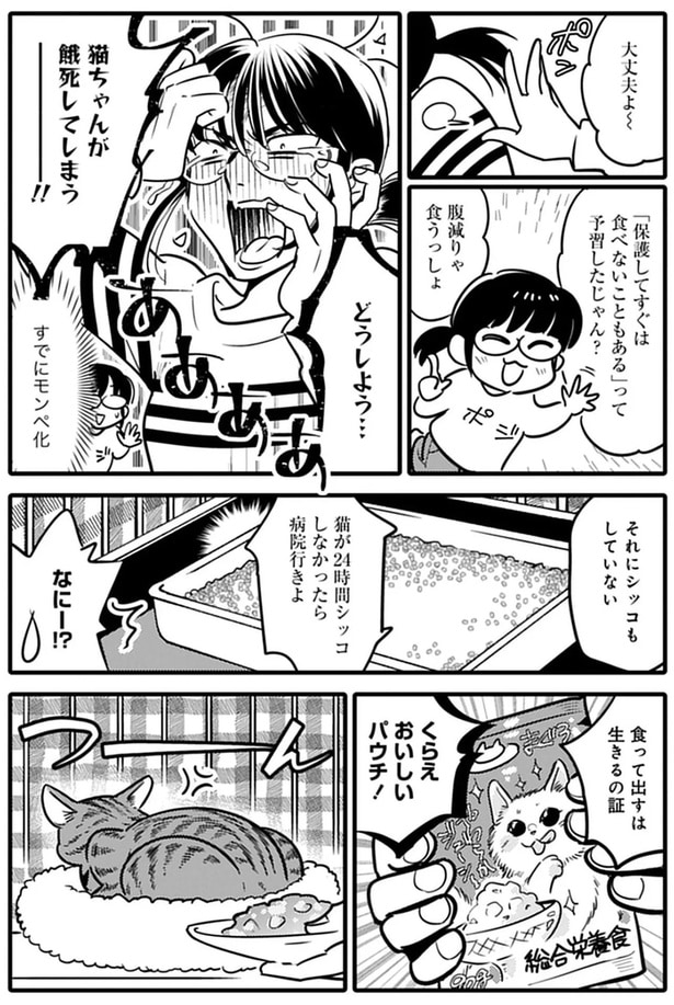 猫ちゃんが餓死してしまう！！