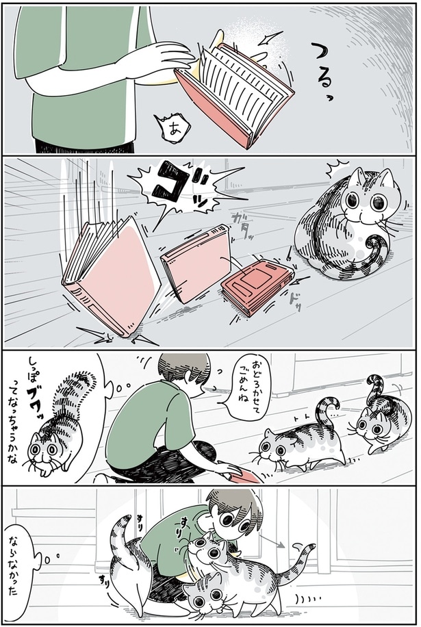 しっぽがふくらむ瞬間