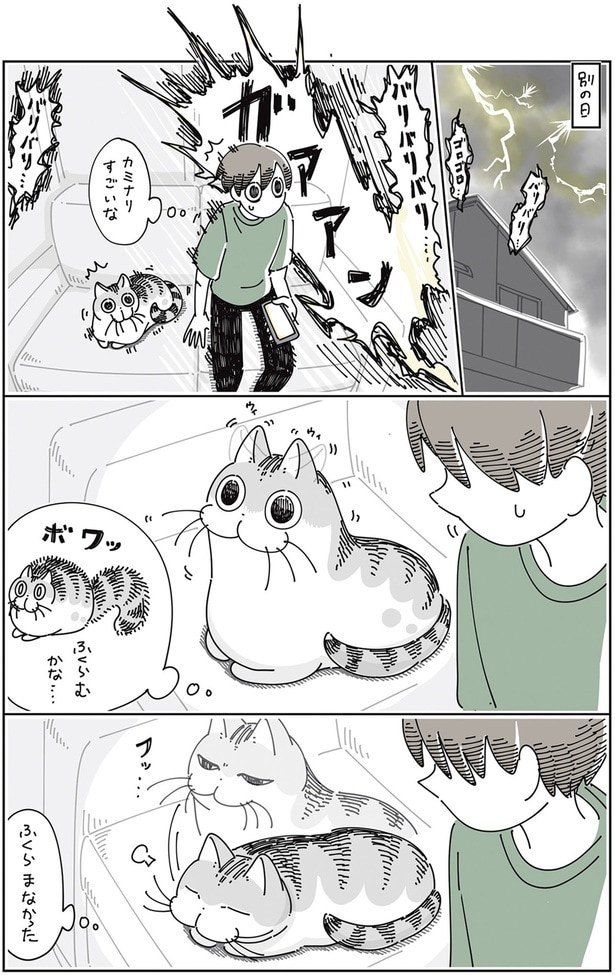 ふくらむかな…ふくらまなかった