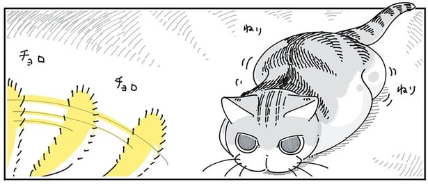 ドキドキの飼い主