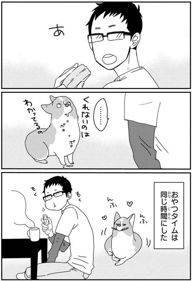 くれないのはわかってるの