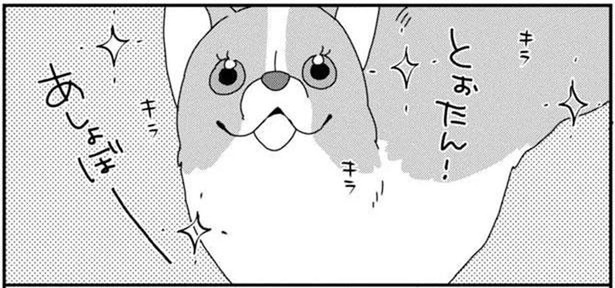 本当に同じ犬？オンとオフ、2つの顔を持つワンコ