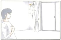 怯えているのは可愛いけれど。カーテンにしがみつき困っている猫がちょっと不思議