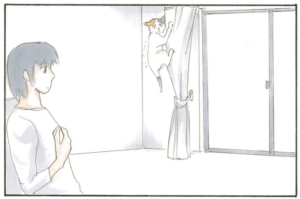 怯えているのは可愛いけれど。カーテンにしがみつき困っている猫がちょっと不思議