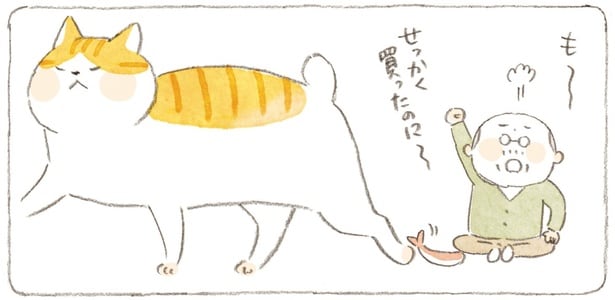 せっかく買ったのに~