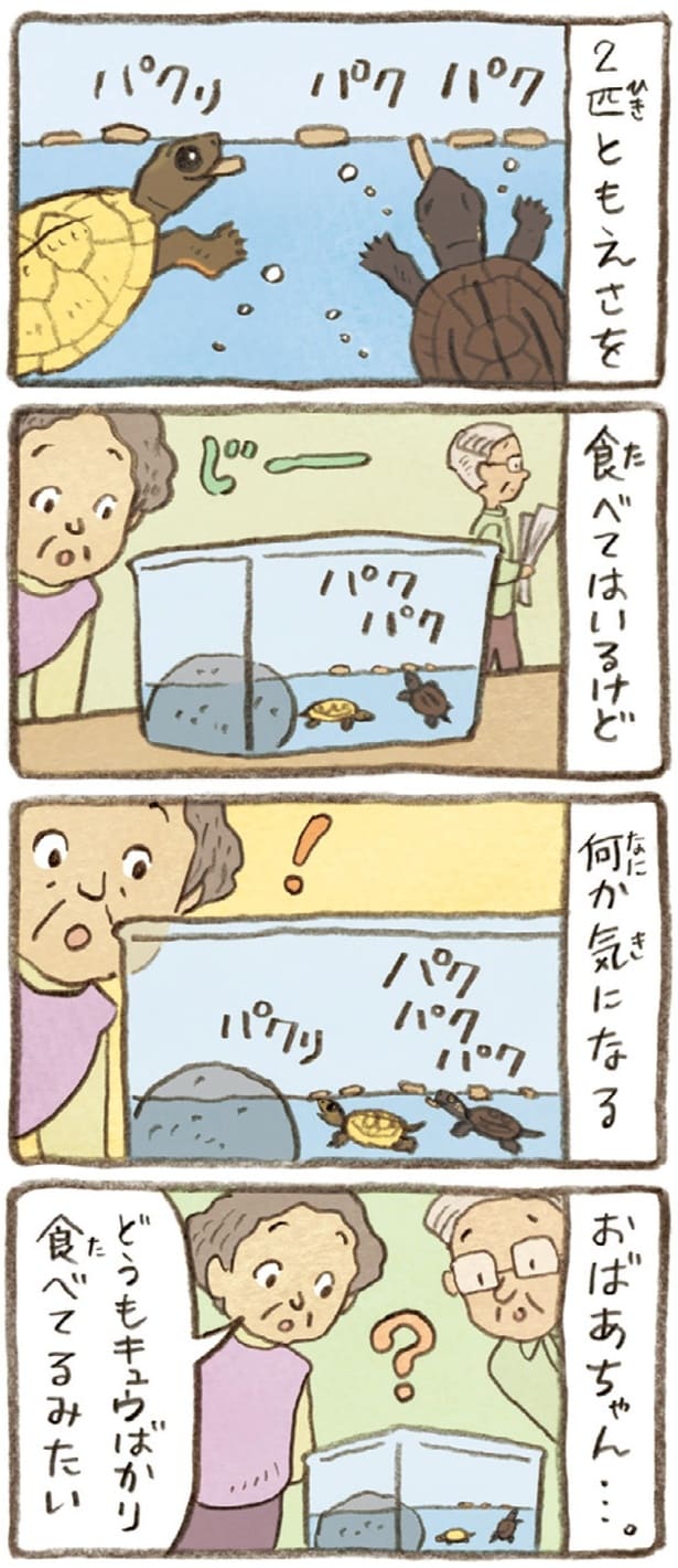 2匹ともえさ食べてはいるけど